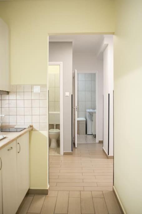 בודפשט Venus Apartments - Synagogue I מראה חיצוני תמונה