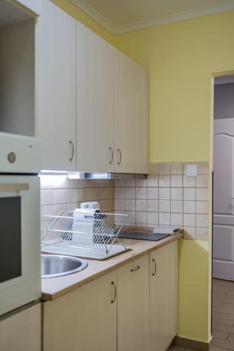 בודפשט Venus Apartments - Synagogue I מראה חיצוני תמונה